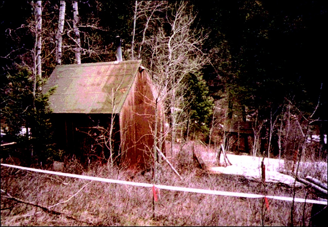 A small plywood cabin in the woods outside Lincoln, Montana