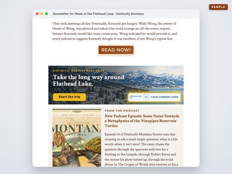 13 newsletter banners, sample mockup