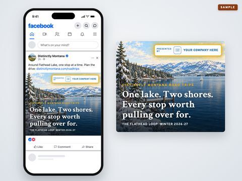 13 Facebook posts, sample mockup