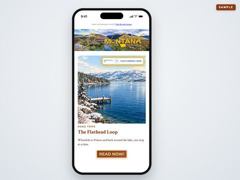 A newsletter headline story, sample mockup