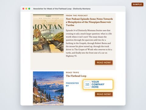 3 newsletter story shares, sample mockup